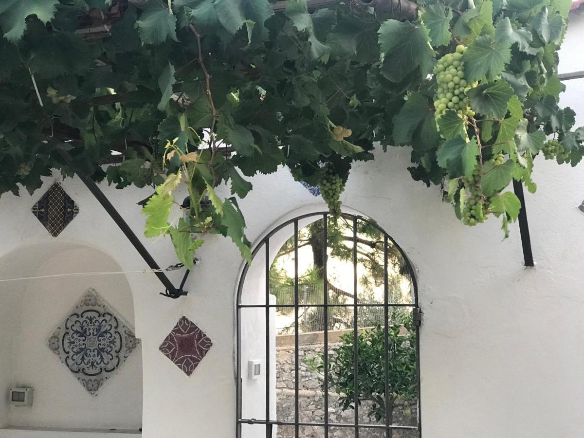 Il Paradiso Di Giacomo Erice Kültér fotó